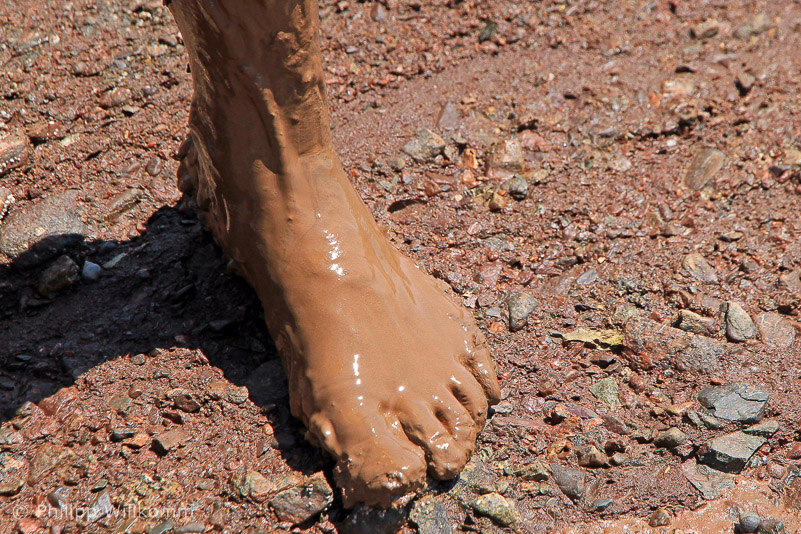 Muddy Foot