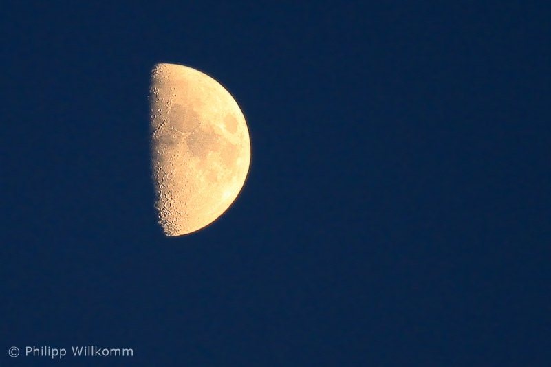 Dark side of the moon