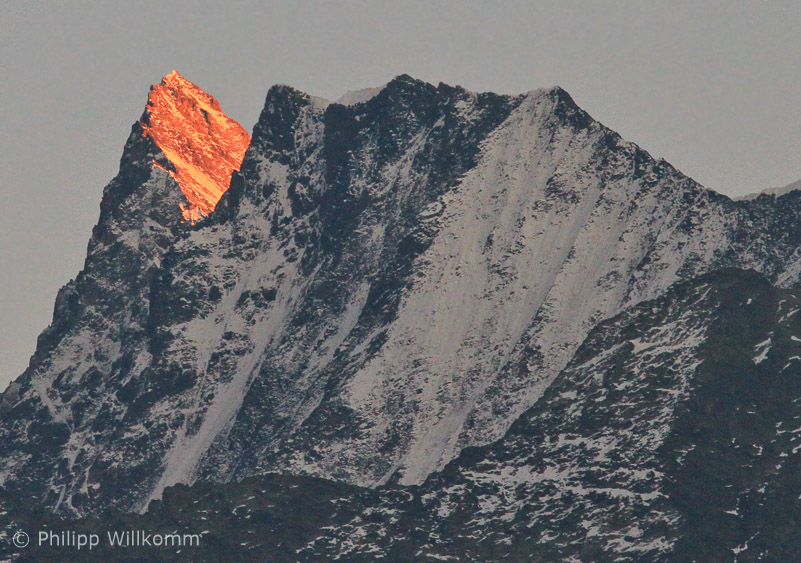 Finsteraarhorn im Abendlicht