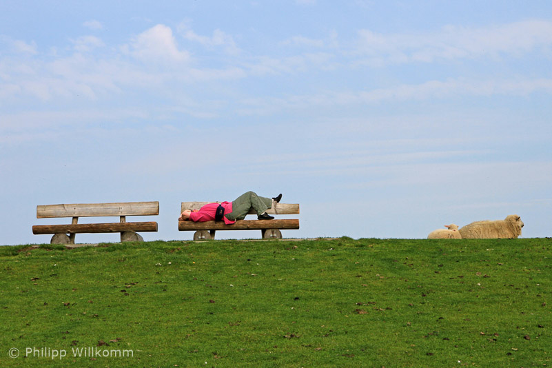 Ruhe auf dem Deich