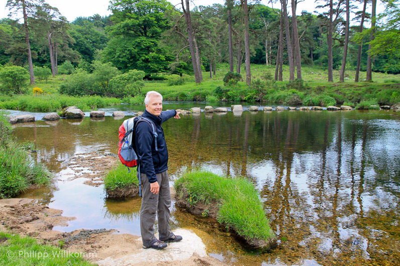 Steinbrücke im Moor 
