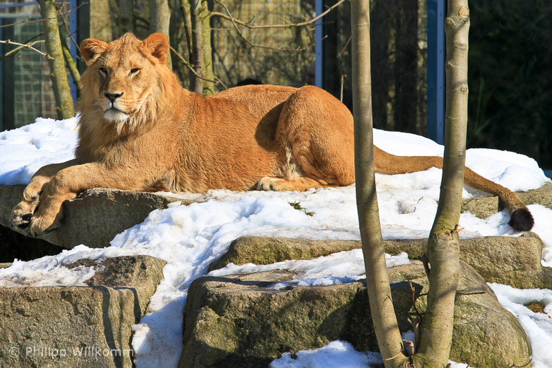 Eine Neue in Hellabrunn
