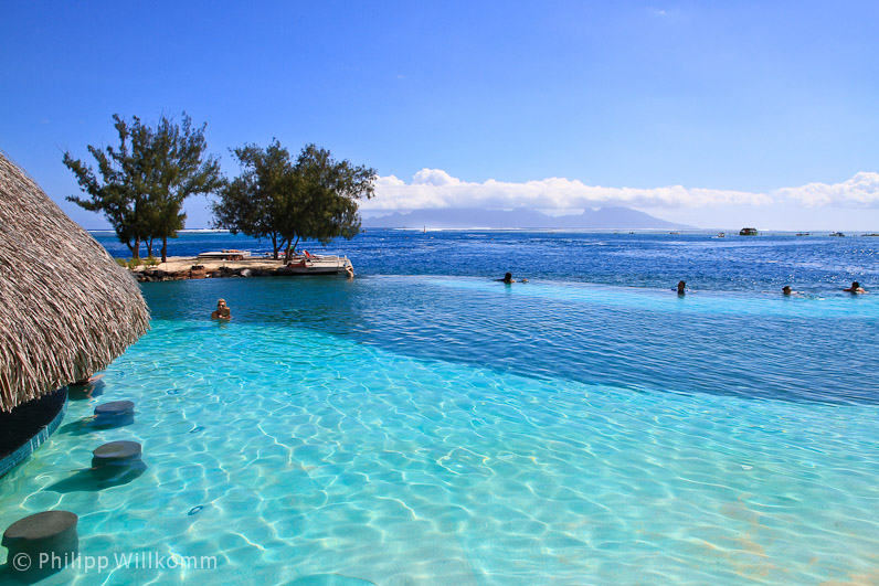 Infinity Pool