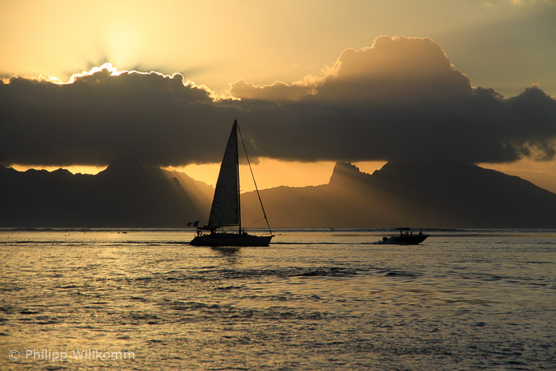 Moorea Sunset