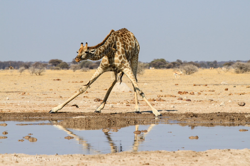 Trinken ist nicht einfach