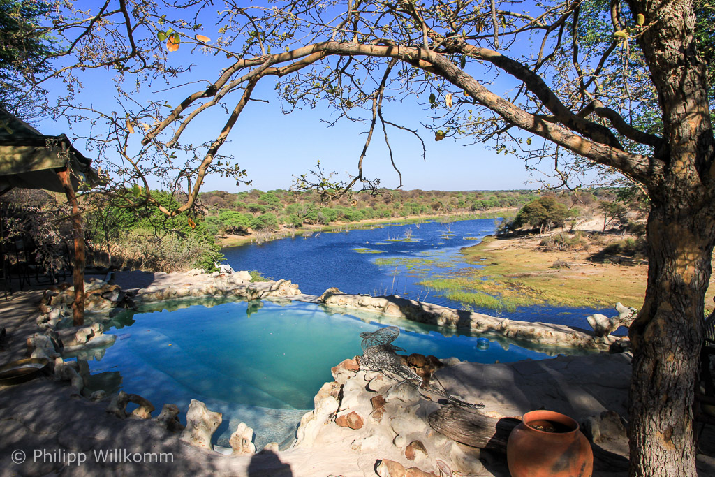 Infinity Pool mit Tierblick