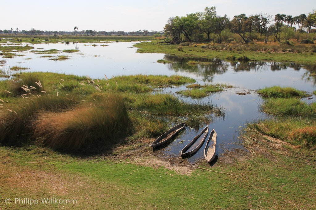 Fortbewegung im Okavango Delta