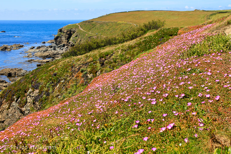 Rosamunde Pilcher Land