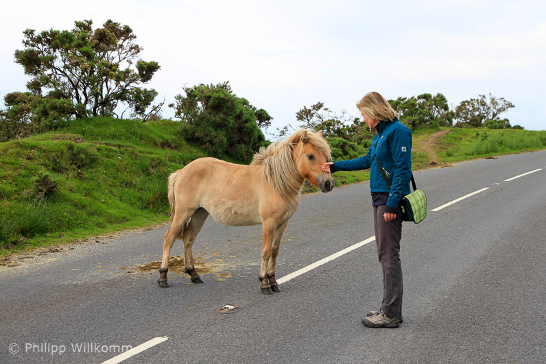 Tierische Begegnungen