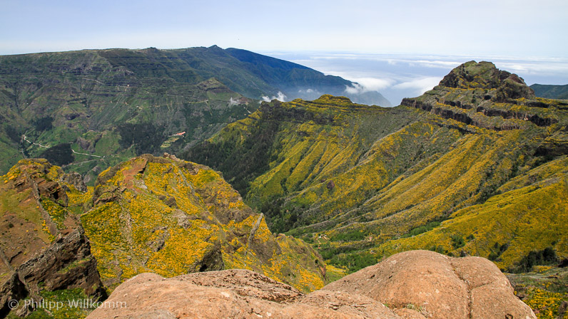 Berge voller Ginster