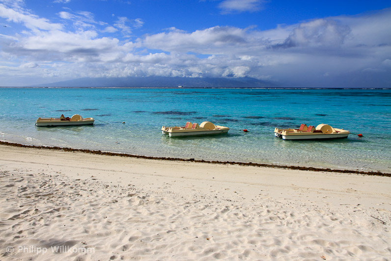 Another day in paradise