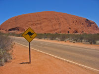 Australienklischee aber wahr