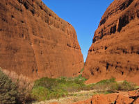 Schlucht in den Kata Tjutas