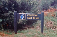 Vorsicht Pinguine an der Westkste