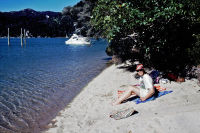 Abel Tasman National Park